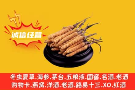 阿坝回收冬虫夏草
